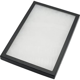 Specimen Case Display Frame with Glass Top 8x12 (1)