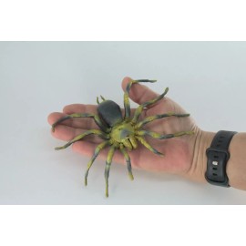 Collectible Wildlife Gifts Realistic Tarantula Spider Toy Hand Painted, Hard Rubber Model, 5" IM21 B654