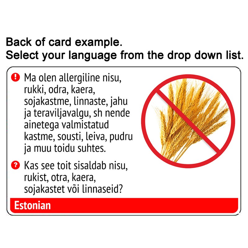 Gluten Free Translation Card (2 Pack) - Translated in Icelandic