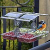 Window Bird Feeder with Strong Suction Cups - Clear Acrylic