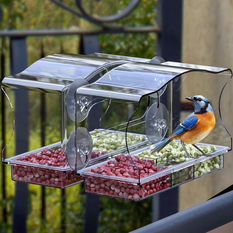 Window Bird Feeder with Strong Suction Cups - Clear Acrylic