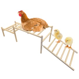 Hamiledyi Sloped Chicken Perch for Coop - Climbable Roosting Perch with Playground Design, Encourages Natural Exercise & Healthy Climbing Activity for Hens (Easy Assembly)