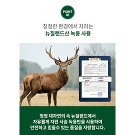 Saponin 6-year-old red ginseng antler red ginseng extract stick 100 packets / 사포닌 6년근 홍삼 녹용 홍삼진액 스틱 100포