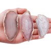 KYEYGWO 10 Pcs Polished Agate Geode Slices Stone for Home