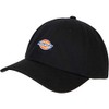 Dickies Hardwick Snapback Cap (OS, Black), black, Unit size