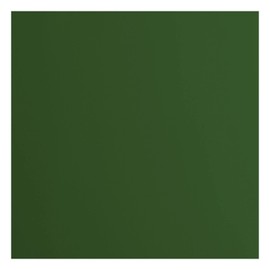 Florence Cardstock Smooth - Coloured Card Making Supplies 12 x 12 inch - Green - 20 Sheets - Coloured Paper for Scrapbooking, Card Making, Die Cutting and Paper Crafts - 216 GSM - Pine
