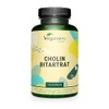 Choline Bitartrate Capsules | High Dose: 1400 mg Choline Bitartrate