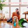 XLTXWD 2Pcs Squeaky Dog Toys, Squeaky Toy, Duck dog toy