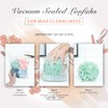 Spongentle Premium Deep Cleansing Loofah Sponge for Radiant Skin, Pack
