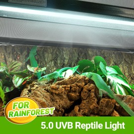 OiiBO T5 HO Reptile Light Fixture UVB Lighting Combo Kit, Reptiles Terrarium Lamp Hood Light Fixture Include UVB 5.0 Rainforest Reptile Light for Chameleon Arboreal Geckos Lizard (39W)