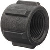 Banjo CAP050 Polypropylene Pipe Fitting, Cap, Schedule 80, 1/2" NPT