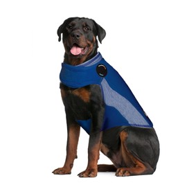 Thundershirt TH00153 Over 90-Pounds XX Large Dog Anxiety Treatment Polo Chest 38-50-Inch, Blue