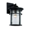 Trans Globe Lighting TG40382 BK Transitional One Wall Lantern Outdoor-Post-Lights, 18", Black
