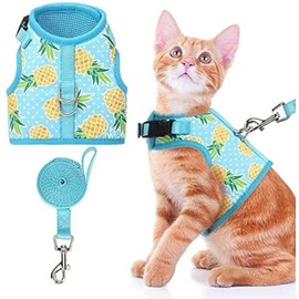 BINGPET Cat Harness - with Leash Included - Mesh Cat Dog Walking Harness Adjustable Harness for Kitties Puppy Harness Adjustable Cat Vest Harness Pineapple
