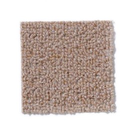 Home Queen Indoor Outdoor Commercial Beige Color Area Rug - 5'x8'