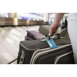 Travelon - Juego de 2 etiquetas para equipaje, sellos para pasaporte, 4.4x2.5cm, multicolor