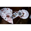 Tally Ho Deck FAN Back Poker Cards Magic Trick Illusion