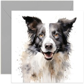 Old English Co. Watercolour Dog Card - Border Collie Dog Card for Pet Owner Birthday - Just Because Card for Him or Her - Thinking of You Fur Baby Card for Men and Women | Blank Inside