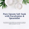 Dr Teal's Fragrance Epsom Salt Eucalyptus & Spearmint Bath Salt,