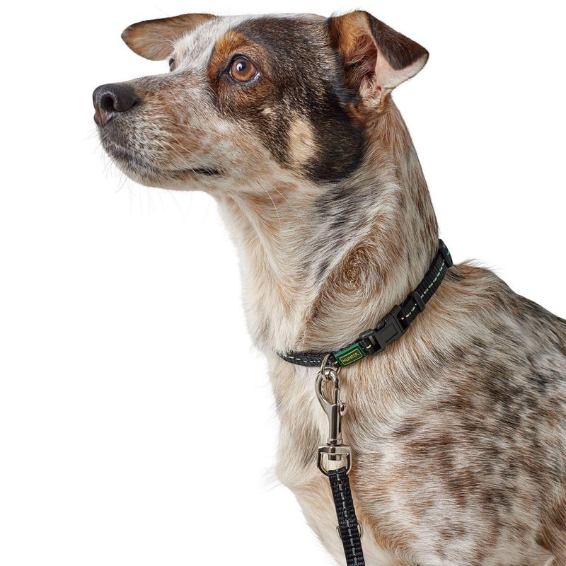 HUNTER TRIPOLI VARIO BASIC Dog Collar Nylon Reflective Click Closure
