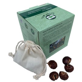 GREENWILL 0.75 Pound (12 Ounces) Organic De-seeded Soapberry/Soap Nut with 1 Wash Bag
