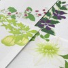 Midori 89587006 Single Pencil Notebook, Summer Letter, 4 Patterns, Summer