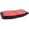 Hiflo Filtro AIR FILTER AIR FILTER HFA6502 HFA6502 824225123692