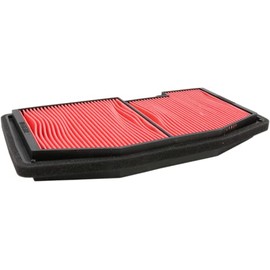 Hiflo Filtro AIR FILTER AIR FILTER HFA6502 HFA6502 824225123692