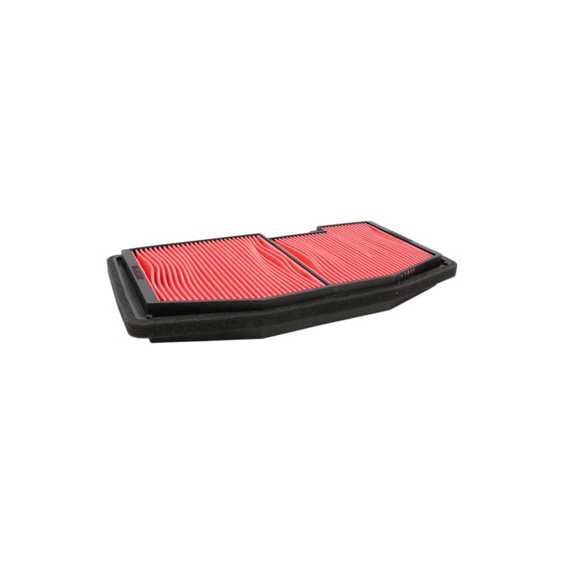 Hiflo Filtro AIR FILTER AIR FILTER HFA6502 HFA6502 824225123692