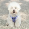 Best Pet Supplies Voyager Adjustable Dog Vest Harness Breathable No