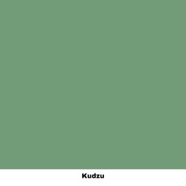 Dixie Belle Paint Company Chalk Finish Furniture Paint | Kudzu (32oz) | Matte Natural Green Chic Chalk Mineral Paint | DIY Furniture Paint