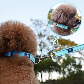 NESTROAD Reflective Dog Collar and Leash Set,Soft Neoprene Pet Collar with Quick Release Buckle,Adjustable Nylon Dog Collars for Small Medium Large Dogs(Medium Collar + 5FT Leash,Blue)