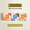 Twinings Mango, Strawberry & Lime Fruit Tea, 80 Tea Bags