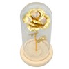 Rose in Glass Dome Lucky Beautiful Symbolism Romantic Enchanted Rose
