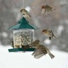 AIMALL Hanging Wild Bird Feeder, 7.48in x 9.05in Gazebo Shape