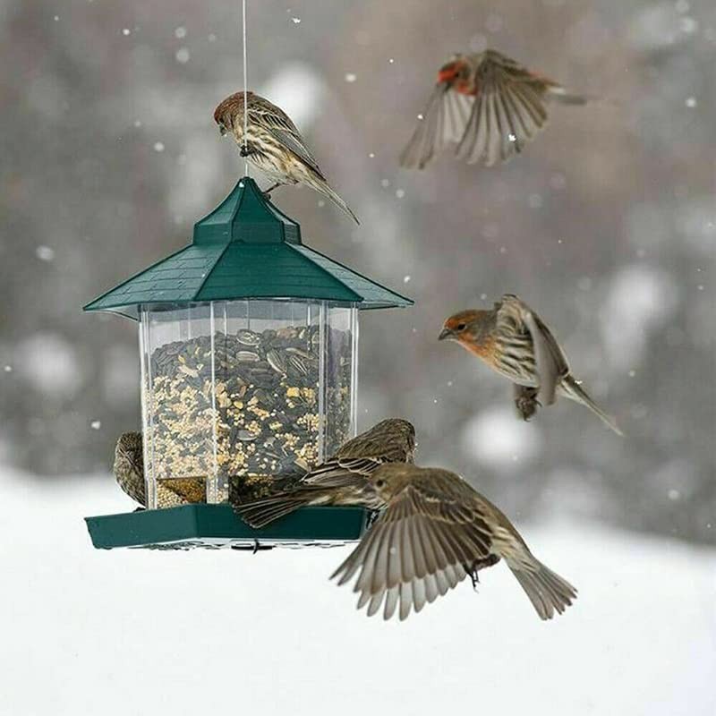 AIMALL Hanging Wild Bird Feeder, 7.48in x 9.05in Gazebo Shape