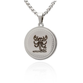 Women's Men's Necklace Stainless Steel with Zodiac Zodiac Zodiac Pendant Individual Chain Length Selectable, Stainless Steel