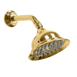 GUOWENYING 6 inch Wall Mount Antique Vintage Rain Shower Head with Shower Arm, High Pressure for Luxurious Bathrooms Rainfall Experience, Polished Gold