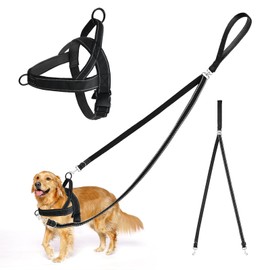 Dog Harness with Lead, Anti-Pull Dog Lead and Harness, No Tangle Double Lead, Adjustable Reflective Chest Harness, for Walking and Training for Medium Large Dogs (M)