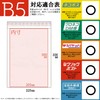 IS CE-B5-25 Bubble Envelopes, B5 Size, 25 Sheets
