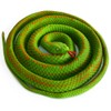 BOHS Elastic Rubber Green Snake- Stretch & Swing - Easy