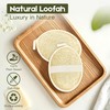 Egyptian Natural Loofah Sponge for Body Back Face Scrub, 100%