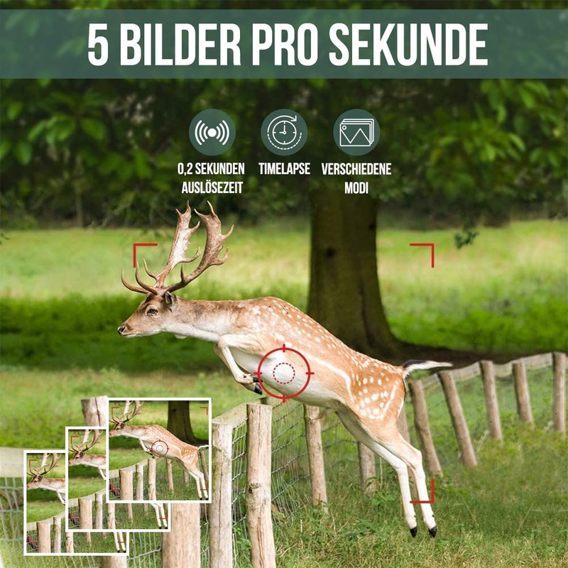Strex Wildlife Camera with Night Vision and WiFi - 120