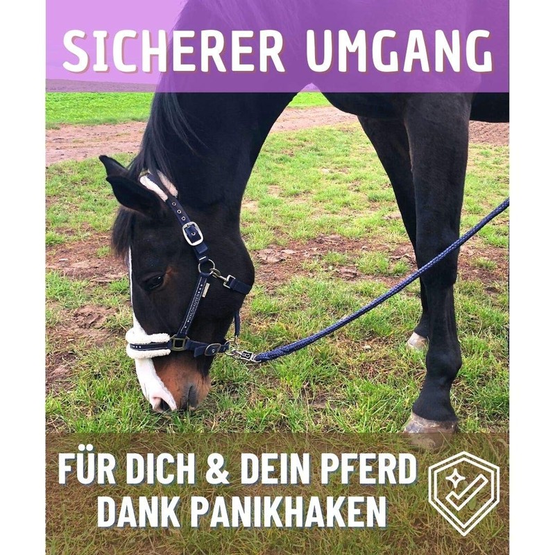 Pferdelinis Horse LEASH, 1.60 m (dark blue), with panic hook