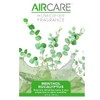Menthol Eucalyptus Humidifier Water Fragrance, 24 oz (ME24)