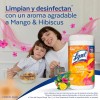Lysol® Toallitas Desinfectantes Superficies Mango & Hibiscus 80pz