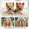 60 Pcs Alligator Sectioning Hair Clips Bulk, Plastic Salon Hairclip
