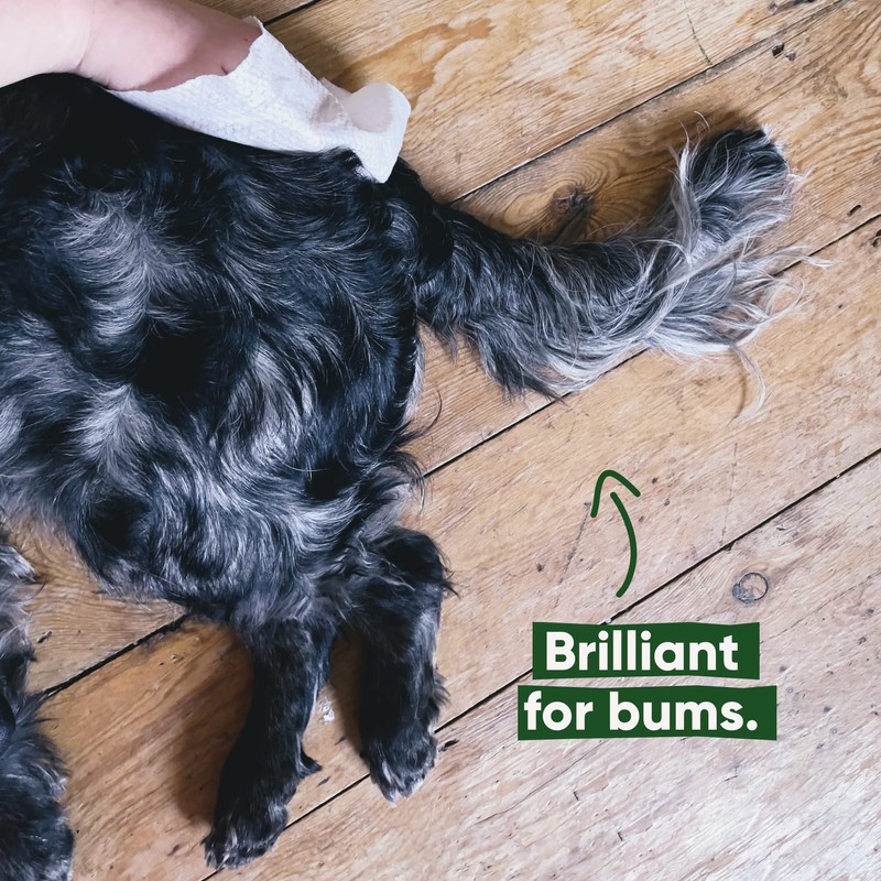 Beco Bamboo Dog Wipes - Plastic Free 80 Wipes, Coconut
