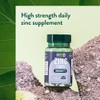 Holland & Barrett Zinc 15mg - Supports The Immune System