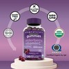 Viva Naturals Viva Naturals Organic Sambucus Elderberry Gummies for Adults